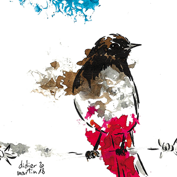 rouge_queue dessin artistique, rouge-queue, oiseau, dessin oiseau, Didier Martin, Lausanne