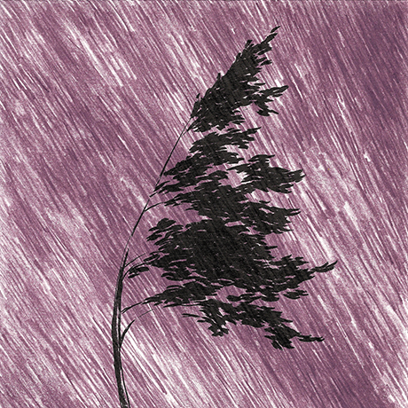 arbre_violet arbre, forêt, pluie, dessin arbre, Didier Martin, Lausanne