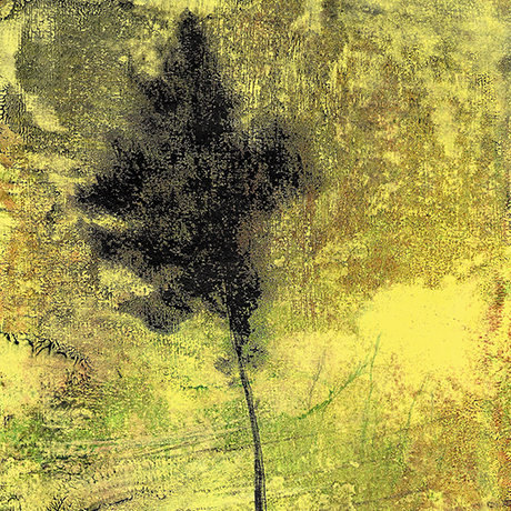 arbre_jaune Didier Martin, Lausanne, dessin arbre, arbre, artistique