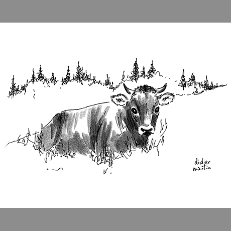 vache_rhetique dessin animalier, vache, vache rhétique, Didier Martin, Lausanne